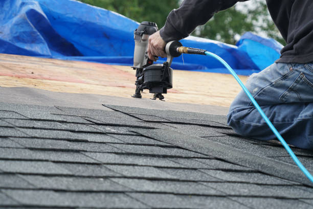 Best Storm Damage Roof Repair  in Page, AZ